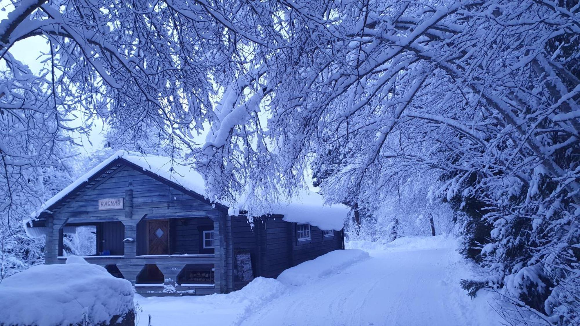 Vikinggard Cottages Holjes Exterior photo