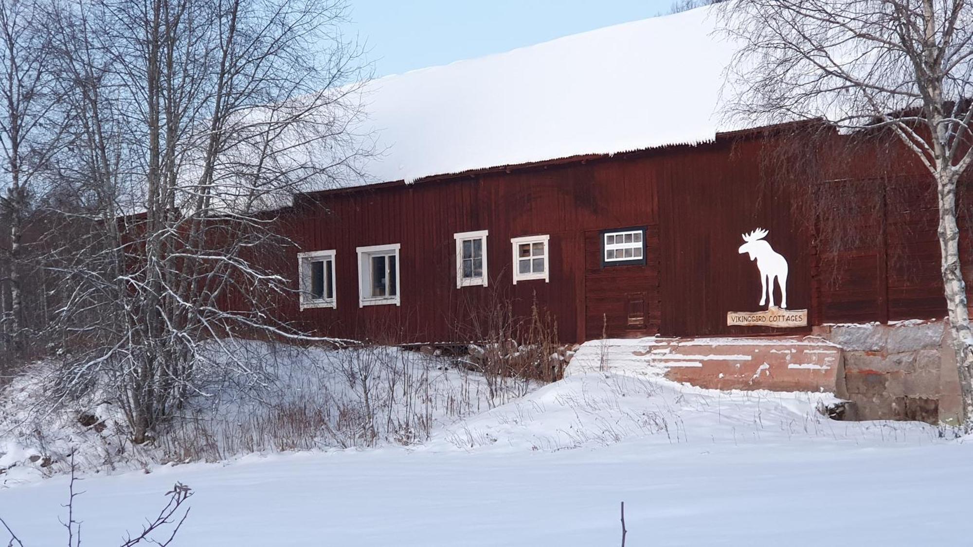 Vikinggard Cottages Holjes Exterior photo